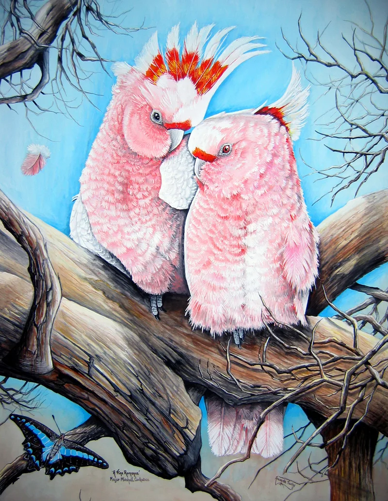 Two Major Mitchell's cockatoos, soft pink with white wings, nestle together on a bare branch, one with its red, yellow and white crest raised, with a falling pink feather and a blue and black butterfly, against a pale blue sky.