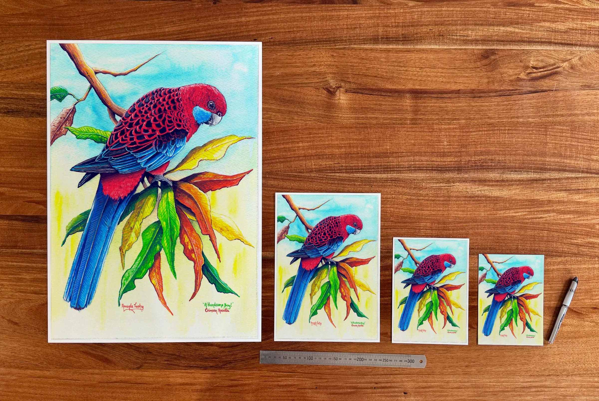 A Handsome Boy! at each available size: A2 (420 × 594 mm), A4, A5 and 5 × 7 in (127 × 178 mm), beside a 30 cm ruler.