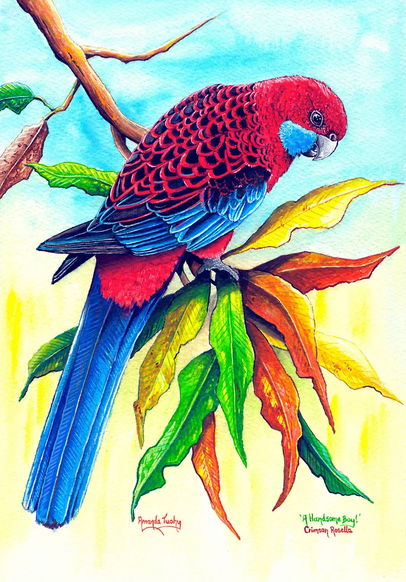 A crimson rosella, deep red with blue cheeks, a black and red scalloped back and a long blue tail, perches on a spray of green, yellow and orange gum leaves against a pale blue and yellow wash.