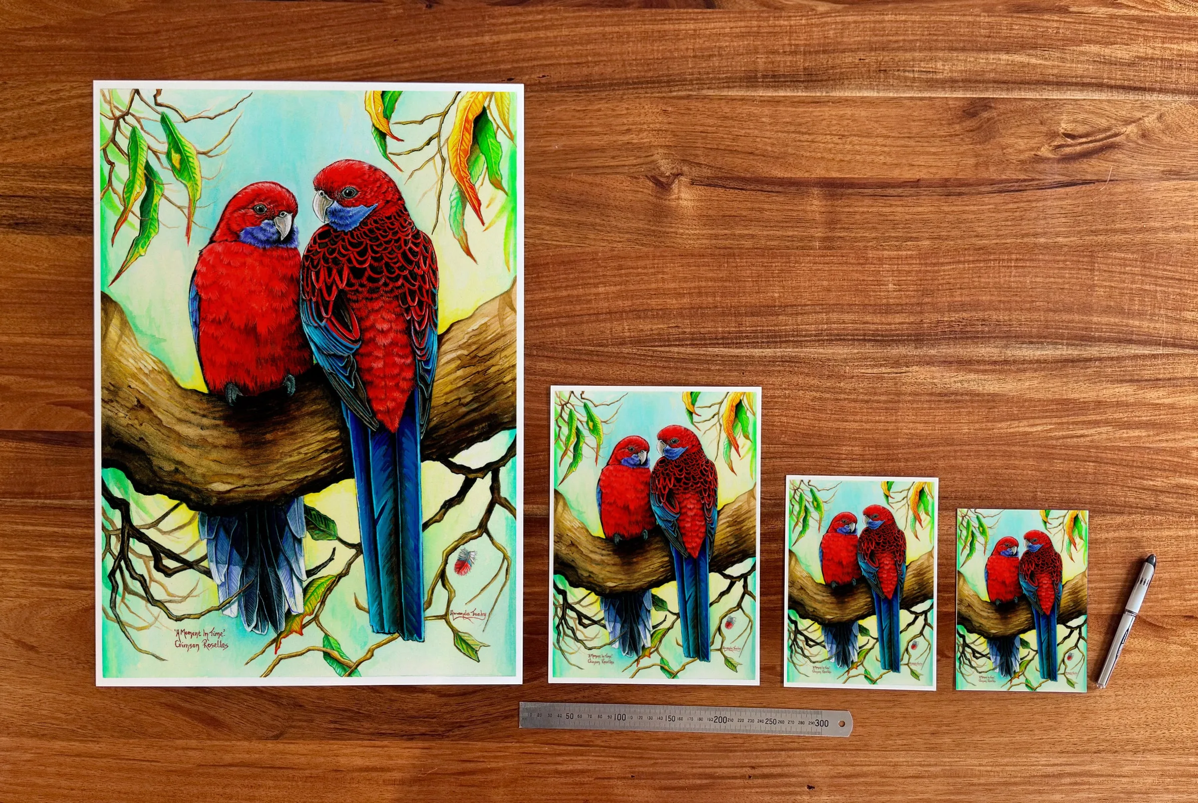 A Moment in Time at each available size: A2 (420 × 594 mm), A4, A5 and 5 × 7 in (127 × 178 mm), beside a 30 cm ruler.