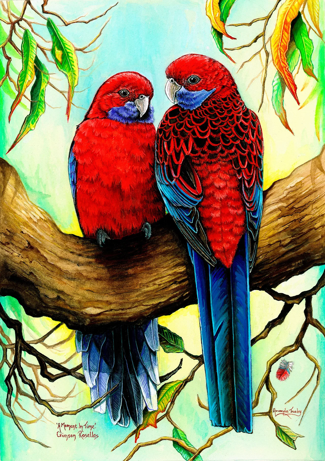 Two crimson rosellas, red with blue cheeks and long blue tails, sit close together on a thick gum branch with their heads turned towards each other, among gum leaves against a pale green and yellow sky.