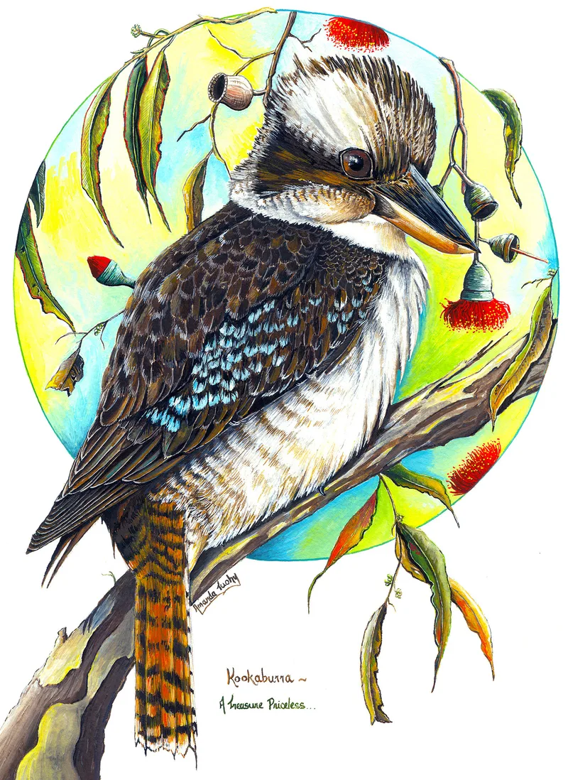A kookaburra with a dark brown back, white chest and barred orange tail perches on a gum branch, framed by a pale blue and yellow circle with gumnuts, leaves and red blossoms, on white paper.