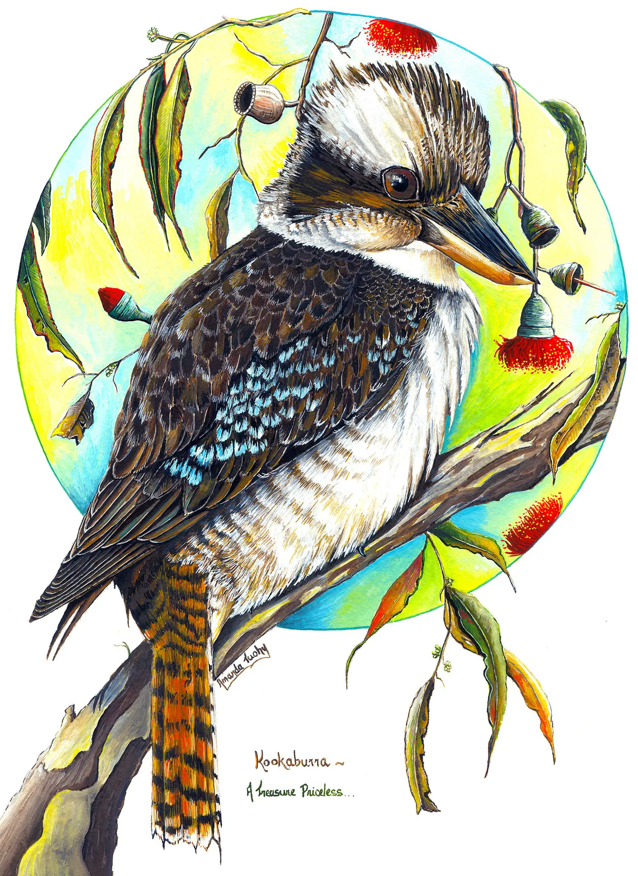 A kookaburra with a dark brown back, white chest and barred orange tail perches on a gum branch, framed by a pale blue and yellow circle with gumnuts, leaves and red blossoms, on white paper.