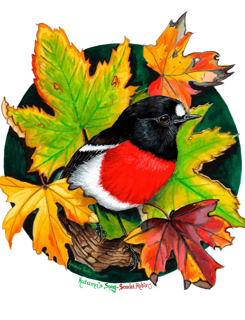 A scarlet robin with a black head and back, a white forehead spot and a bright red breast perches among yellow, green and red autumn leaves, set in a dark green circle on white paper.