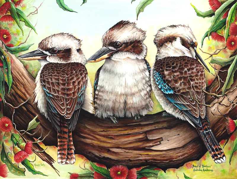 Three kookaburras perched side by side on a gnarled gum branch, among red eucalyptus blossoms and leaves.