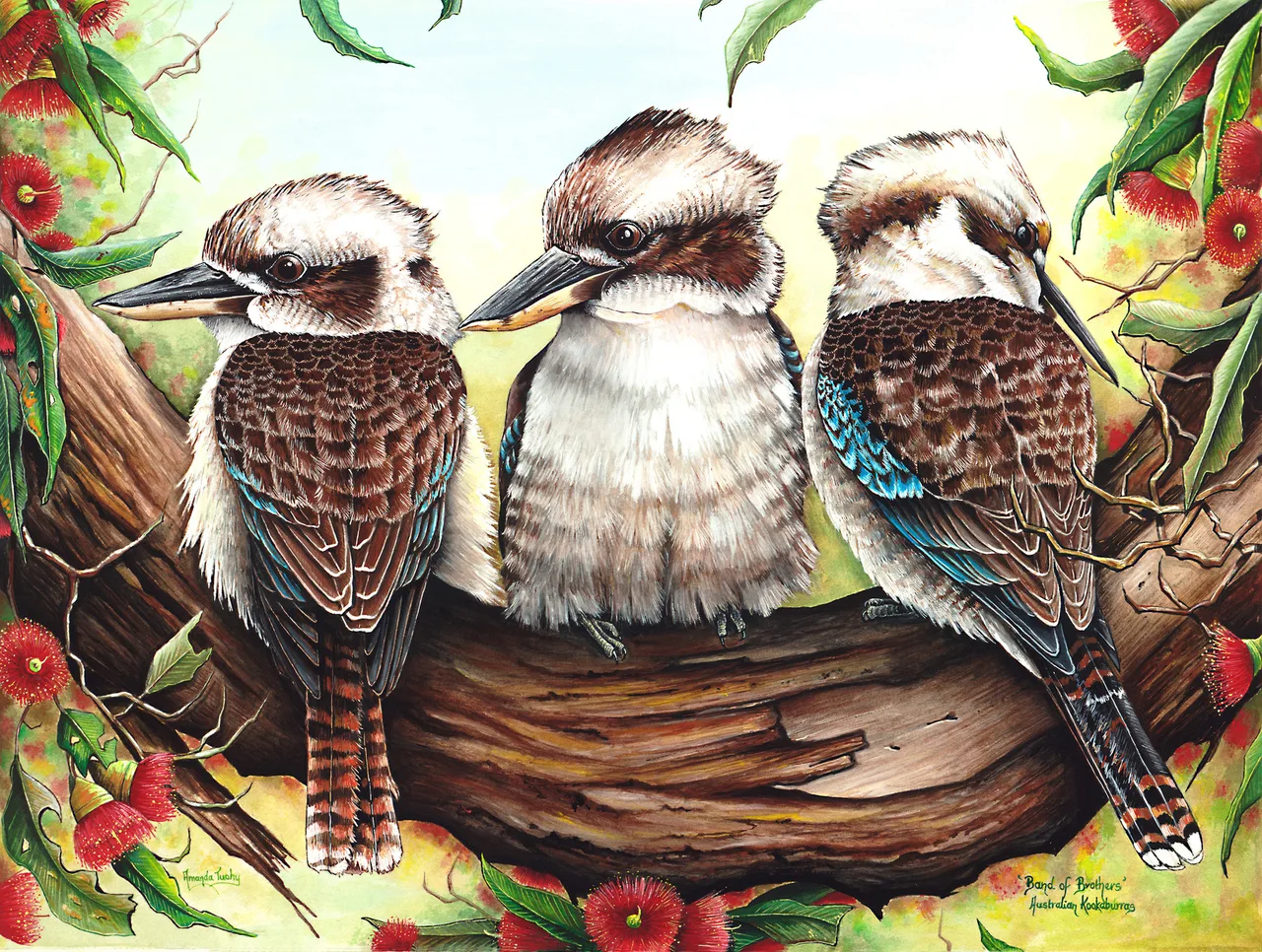 Three kookaburras perched side by side on a gnarled gum branch, among red eucalyptus blossoms and leaves.