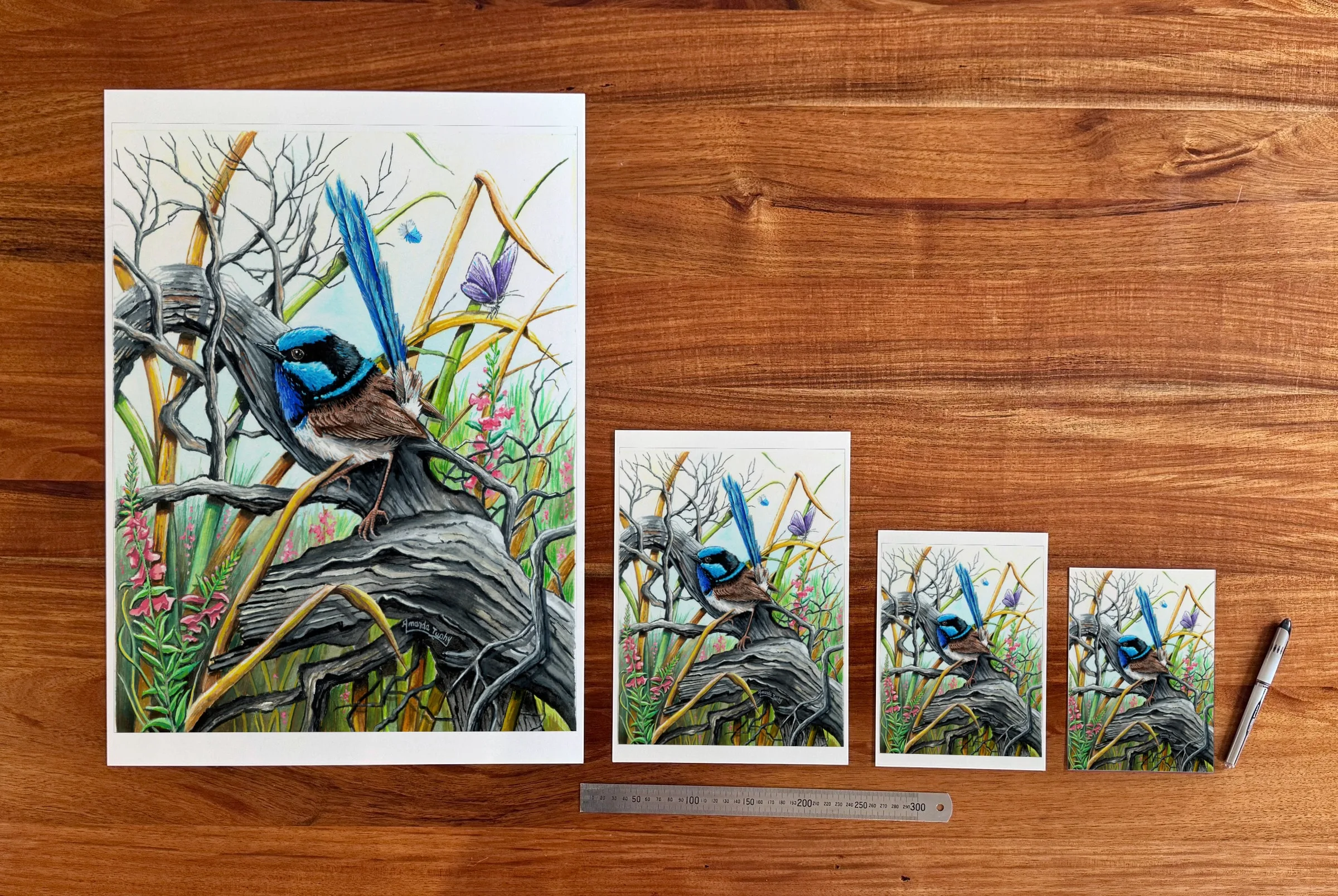 Blue Wren with Pink Flowers at each available size: A2 (420 × 594 mm), A4, A5 and 5 × 7 in (127 × 178 mm), beside a 30 cm ruler.