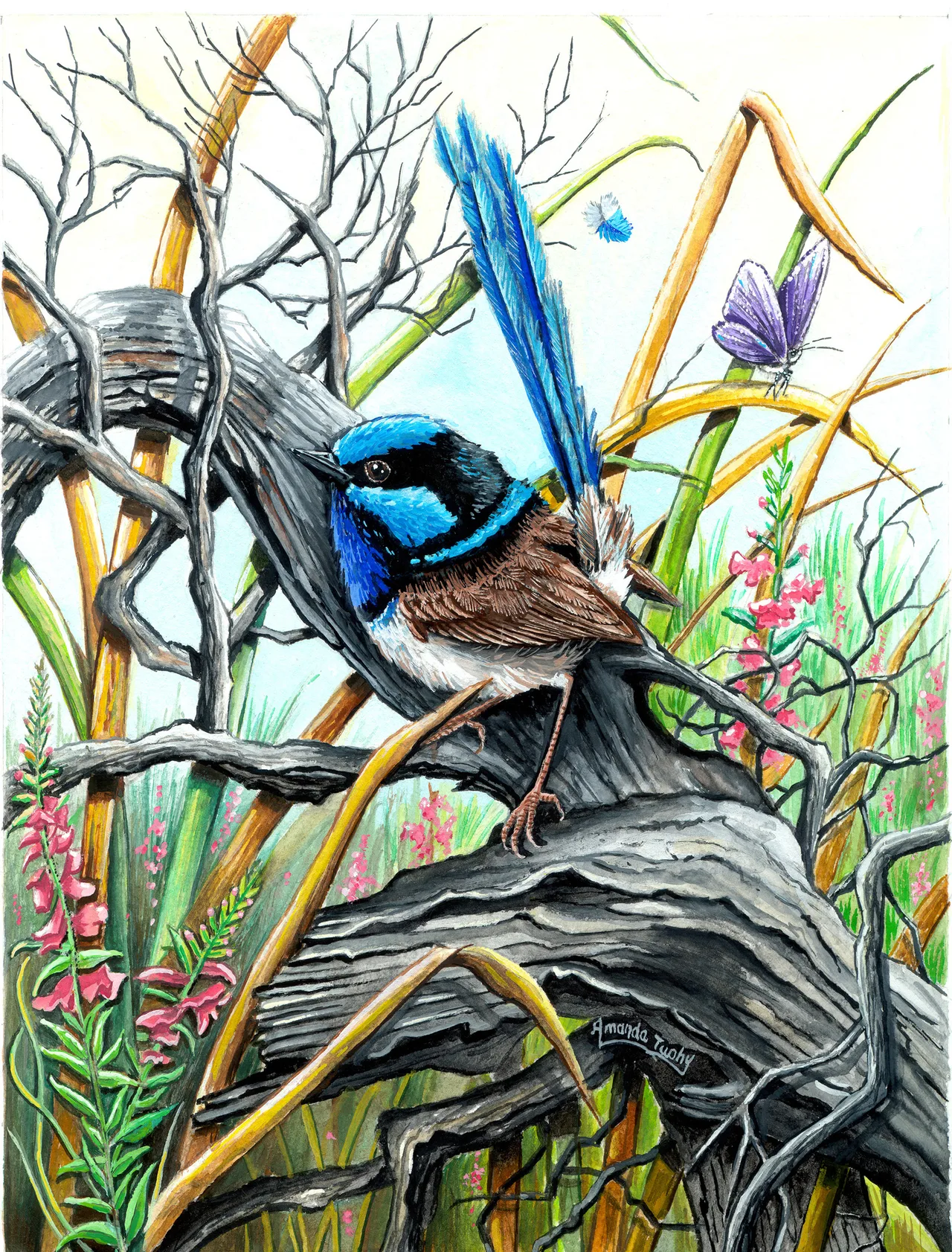 A wren with a bright blue head and a long, upright blue tail perches on a weathered grey log among bare twigs and golden reeds, with pink flowers and a purple butterfly.