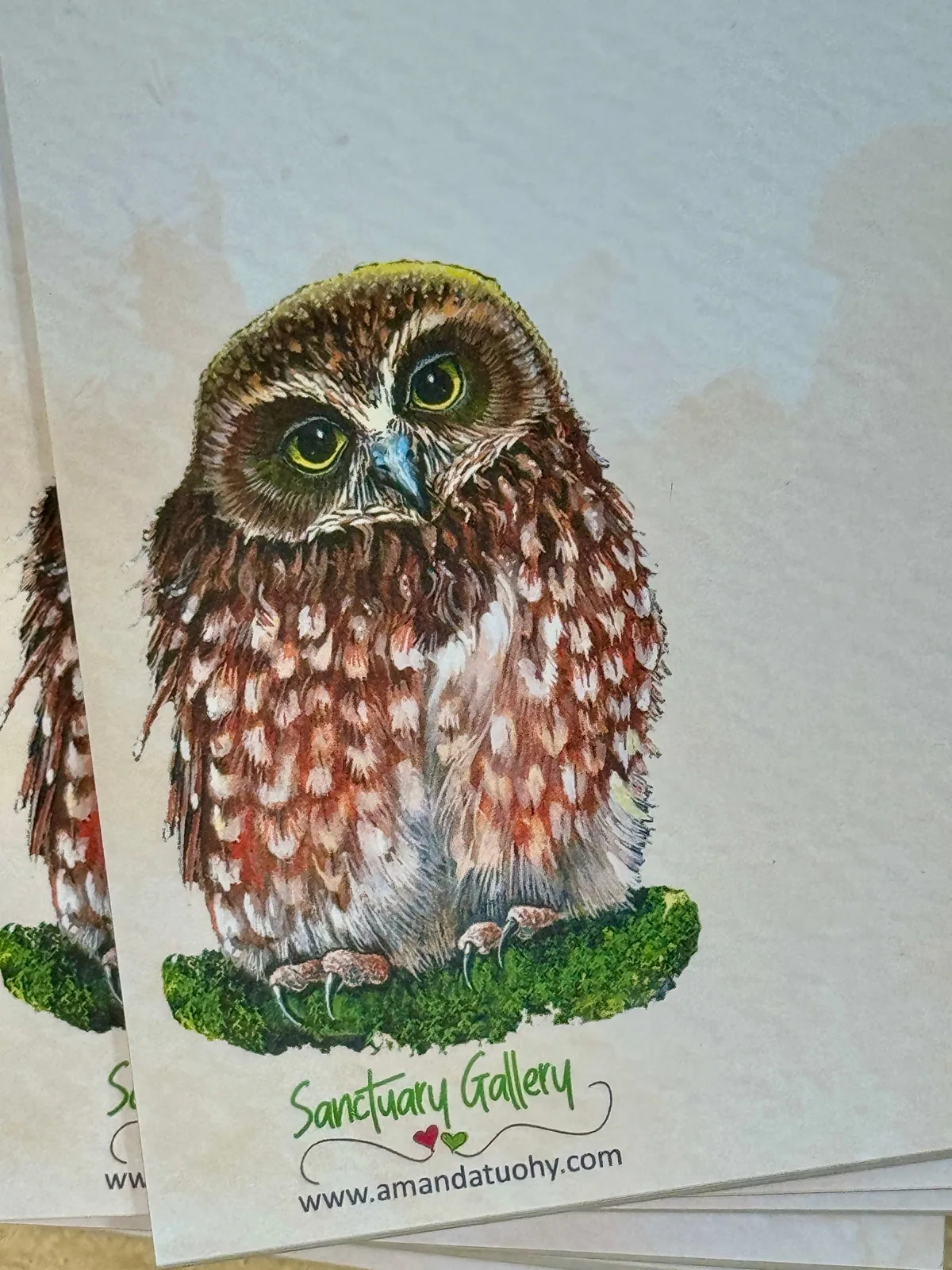 A pad of notepaper printed with a boobook owl with large yellow-green eyes and a rust-brown, white-spotted chest, perched on a patch of green moss, with the Sanctuary Gallery name and web address beneath.