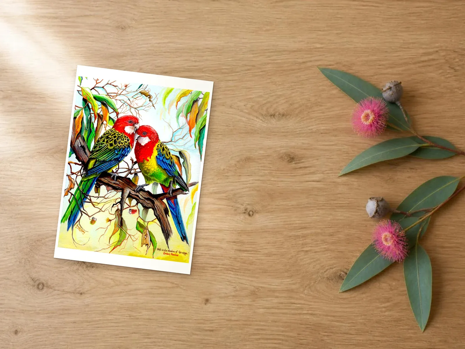 Eastern rosellas: a print shown at A4, lying on a wooden bench beside gum blossom and leaves.