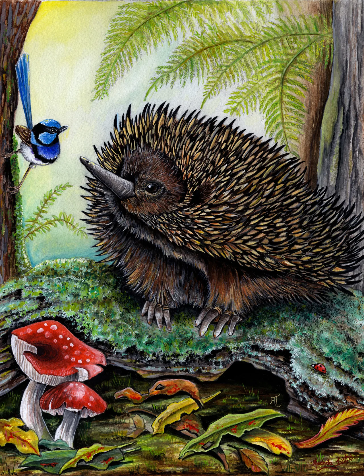 An echidna with dark brown spines and a long snout stands on a mossy log among ferns, with red toadstools in front of it and a small blue wren perched on a trunk at the left.