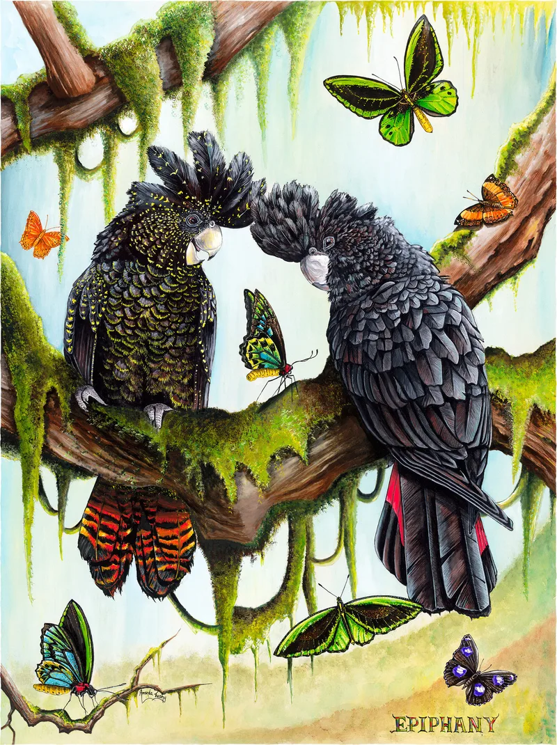 Two red-tailed black cockatoos rest their heads together on a moss-draped branch, surrounded by colourful butterflies.