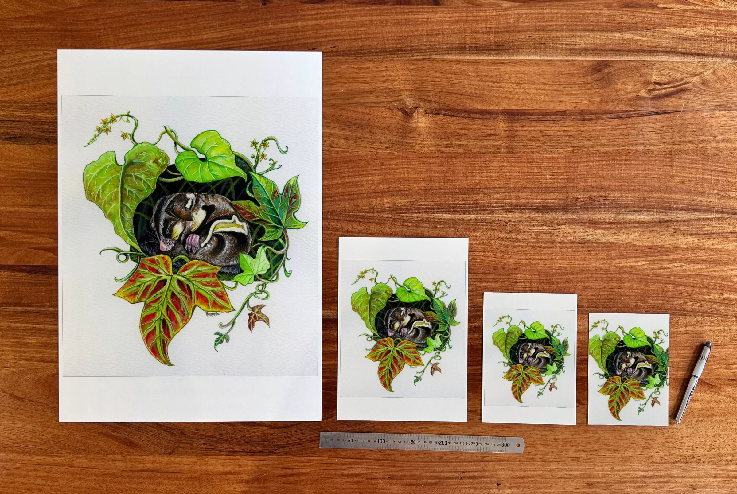 Feathertail Glider at each available size: A2 (420 × 594 mm), A4, A5 and 5 × 7 in (127 × 178 mm), beside a 30 cm ruler.