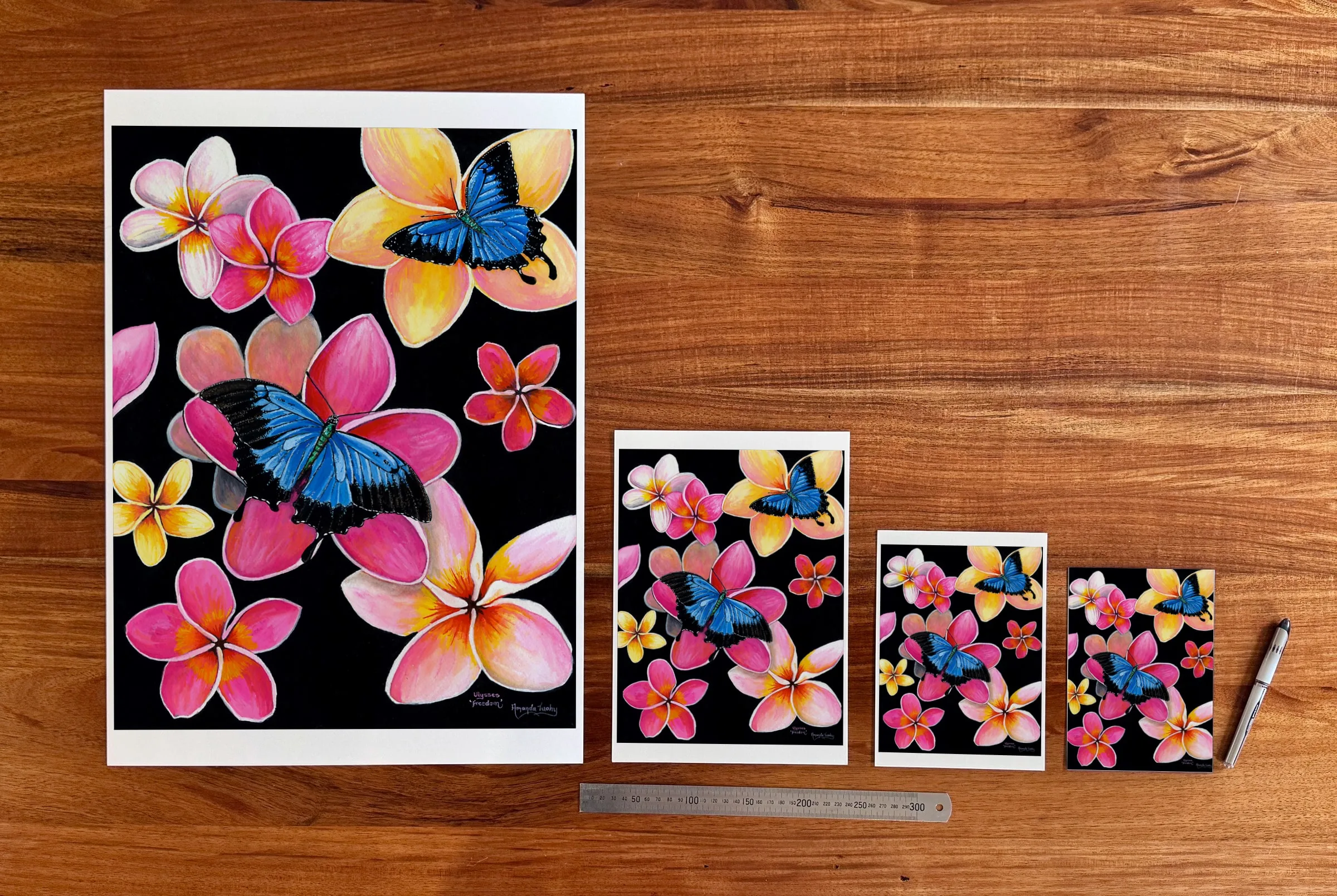 Freedom at each available size: A2 (420 × 594 mm), A4, A5 and 5 × 7 in (127 × 178 mm), beside a 30 cm ruler.