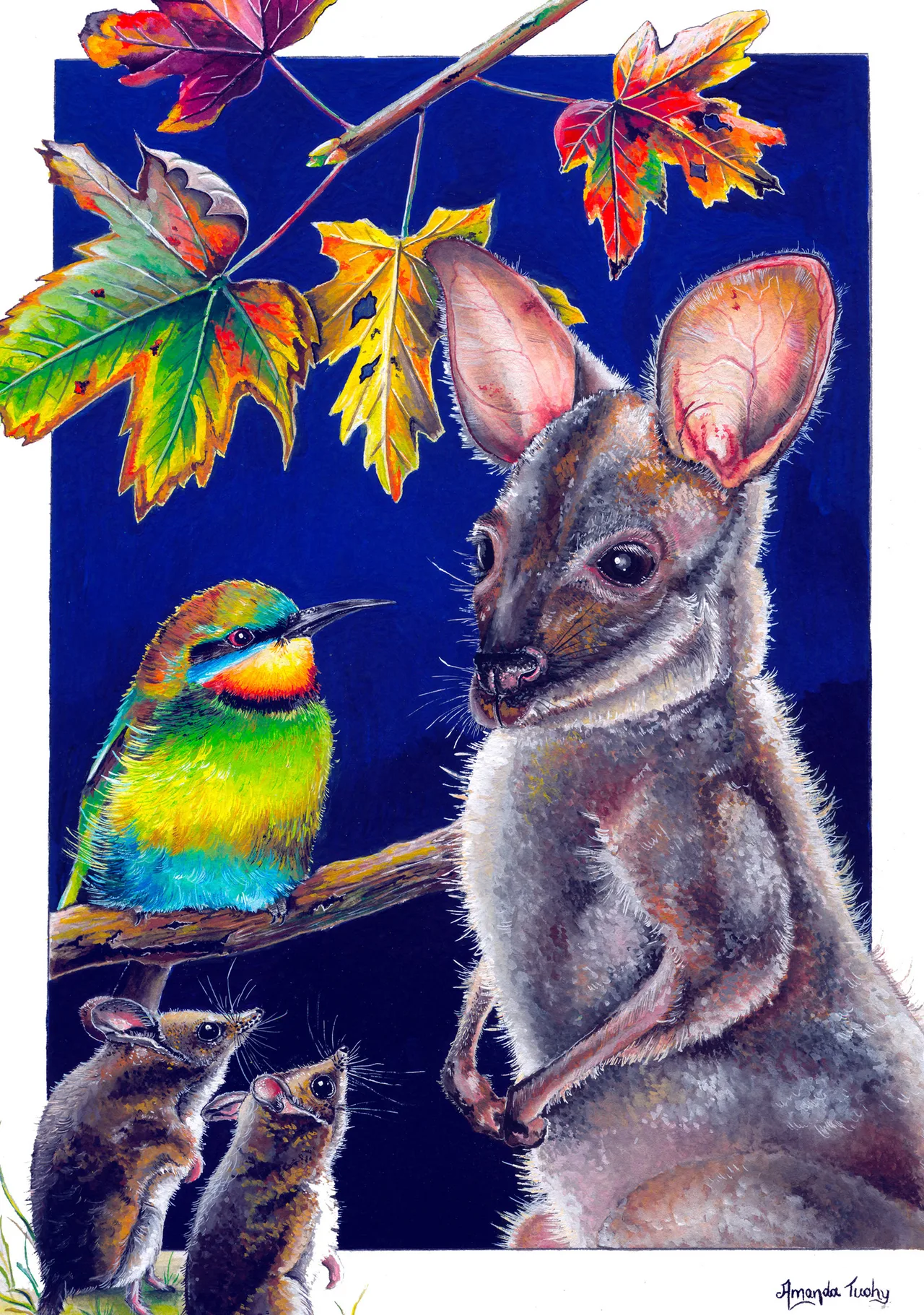 A grey kangaroo joey with large pink-lined ears stands beside a rainbow bee-eater on a twig and two small mouse-like animals, under autumn leaves against a deep blue background.