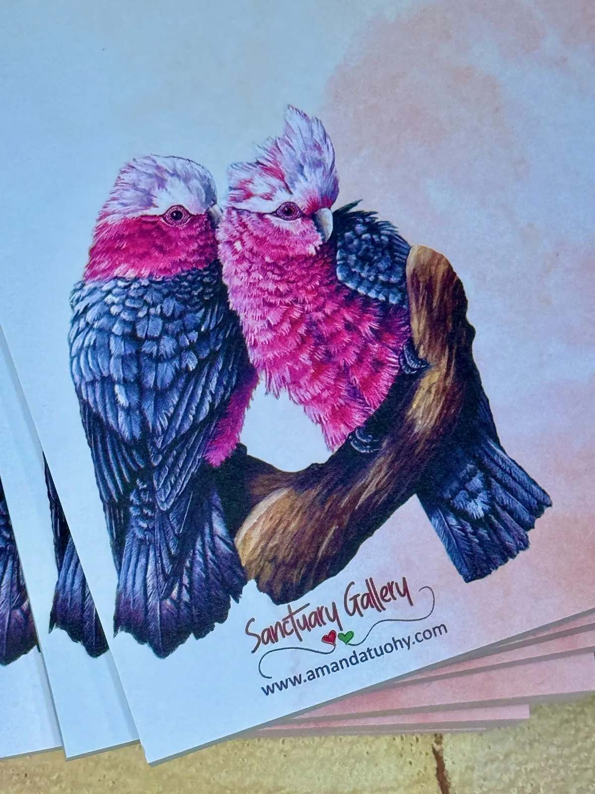 A pad of notepaper, pale blue fading to soft pink, printed with two galahs pressed close together on a branch, their chests rose pink and their wings grey, with the Sanctuary Gallery name and web address beneath.