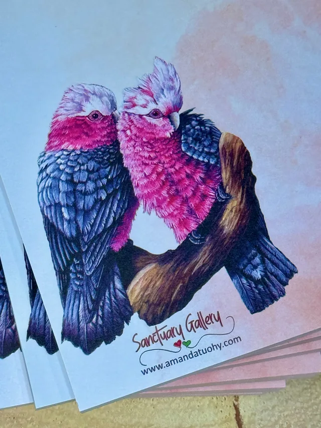 A pad of notepaper, pale blue fading to soft pink, printed with two galahs pressed close together on a branch, their chests rose pink and their wings grey, with the Sanctuary Gallery name and web address beneath.