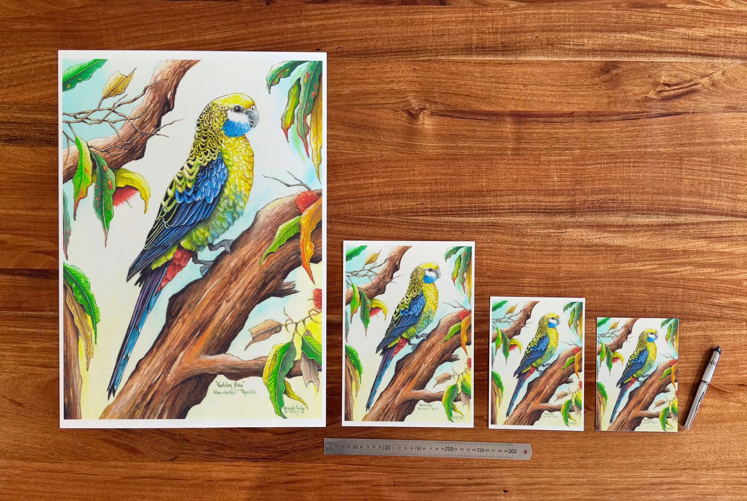 Golden Boy at each available size: A2 (420 × 594 mm), A4, A5 and 5 × 7 in (127 × 178 mm), beside a 30 cm ruler.