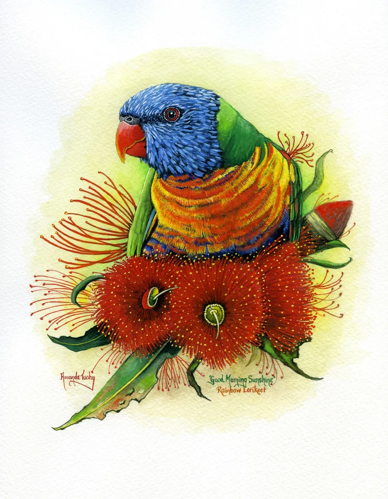 A rainbow lorikeet with a blue head, green back and orange and yellow breast perches among red gum blossoms and leaves, set in a soft yellow circle on white paper.
