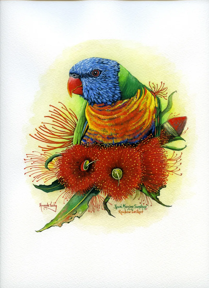 A rainbow lorikeet with a blue head, green back and orange and yellow breast perches among red gum blossoms and leaves, set in a soft yellow circle on white paper.