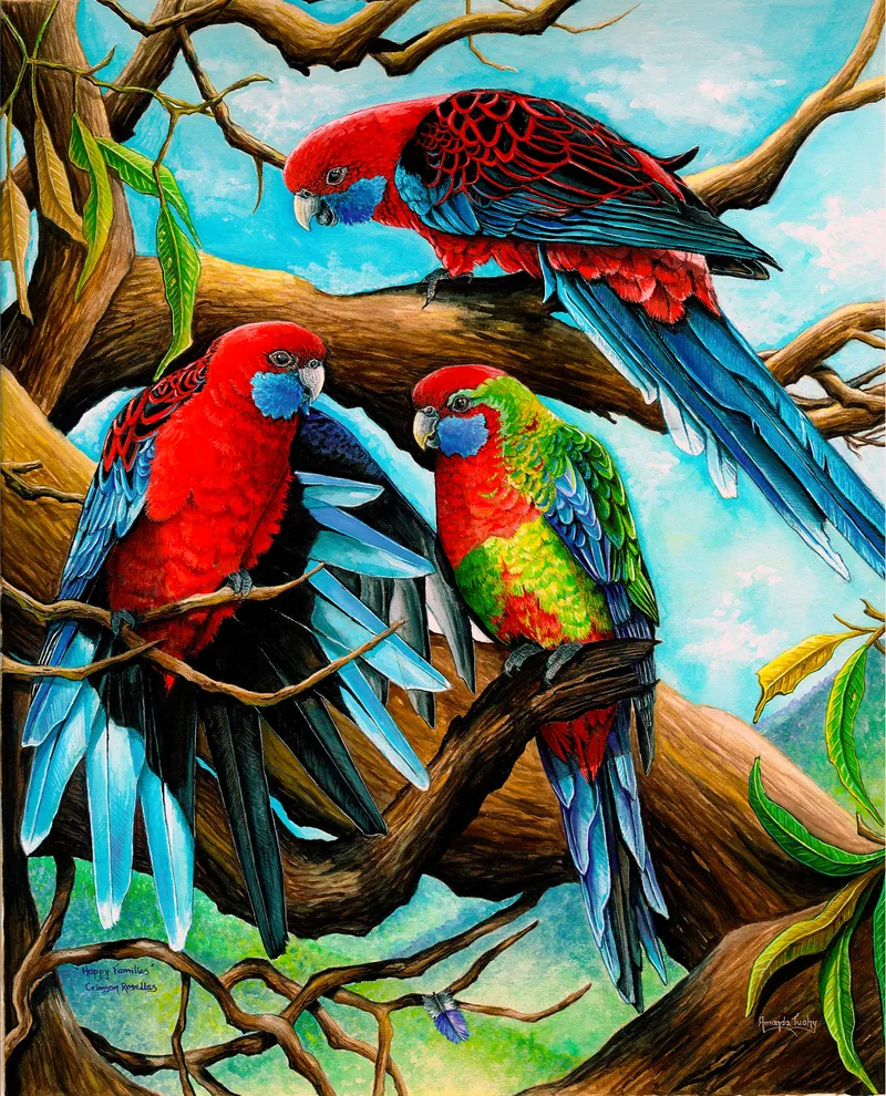 Three crimson rosellas perch among thick, twisting gum branches against a blue sky: two bright red with blue cheeks and one green and red. One has its pale blue wing feathers spread.
