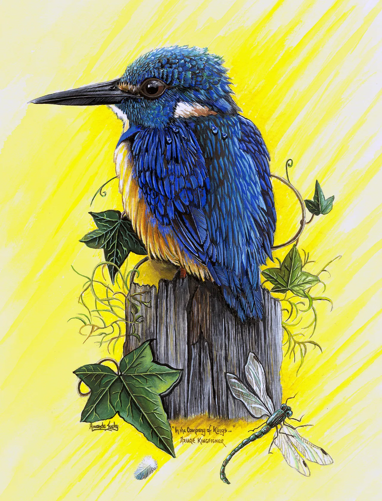 An azure kingfisher with deep blue feathers and an orange chest perches on a weathered wooden post with ivy leaves and a dragonfly below it, against a bright yellow background.