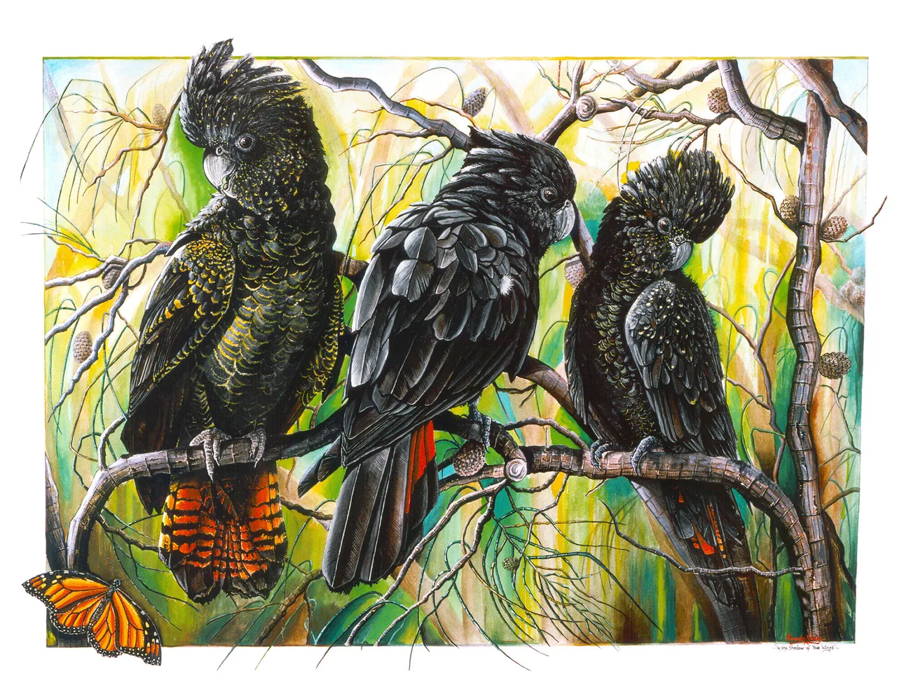 Three red-tailed black cockatoos perched on bare, curving branches against a luminous green and yellow bush, with an orange butterfly at lower left.