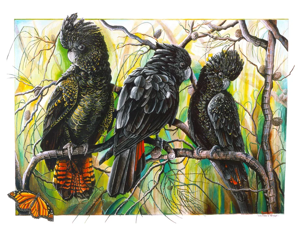 Three red-tailed black cockatoos perched on bare, curving branches against a luminous green and yellow bush, with an orange butterfly at lower left.