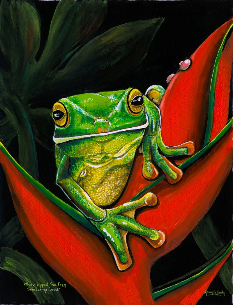 A green tree frog with gold eyes peers from a glossy red tropical flower against a black background.