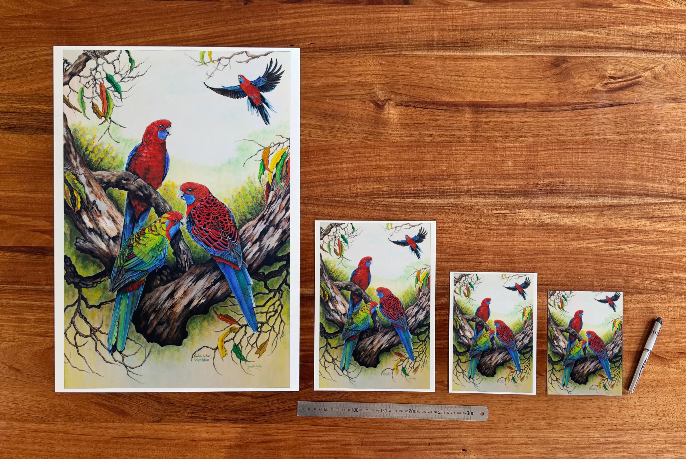 Jewels in the Sun at each available size: A2 (420 × 594 mm), A4, A5 and 5 × 7 in (127 × 178 mm), beside a 30 cm ruler.