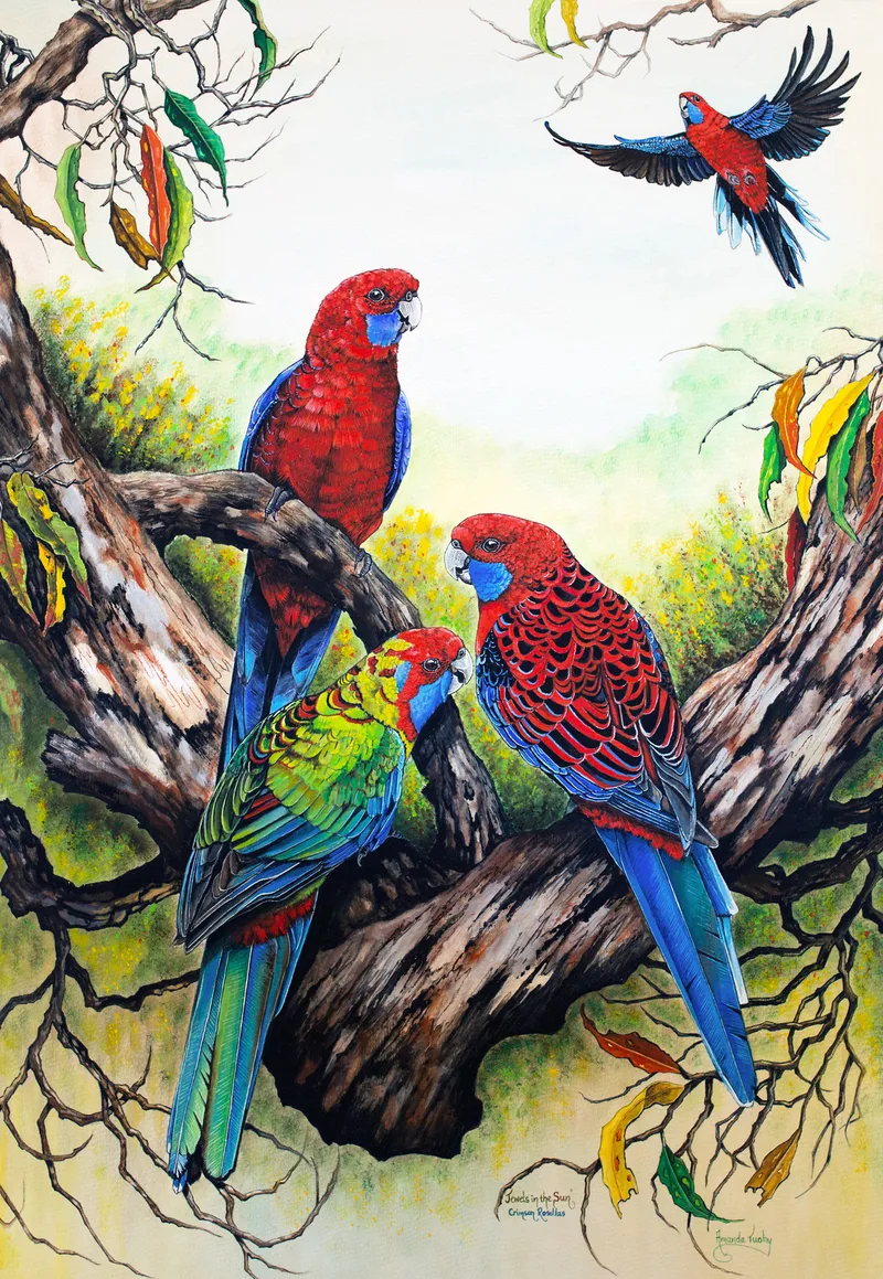 Four crimson rosellas in an old gum tree: two red with blue cheeks and a young green and red bird perched on its branches, and another flying in at the top right, among gum leaves and yellow wattle.