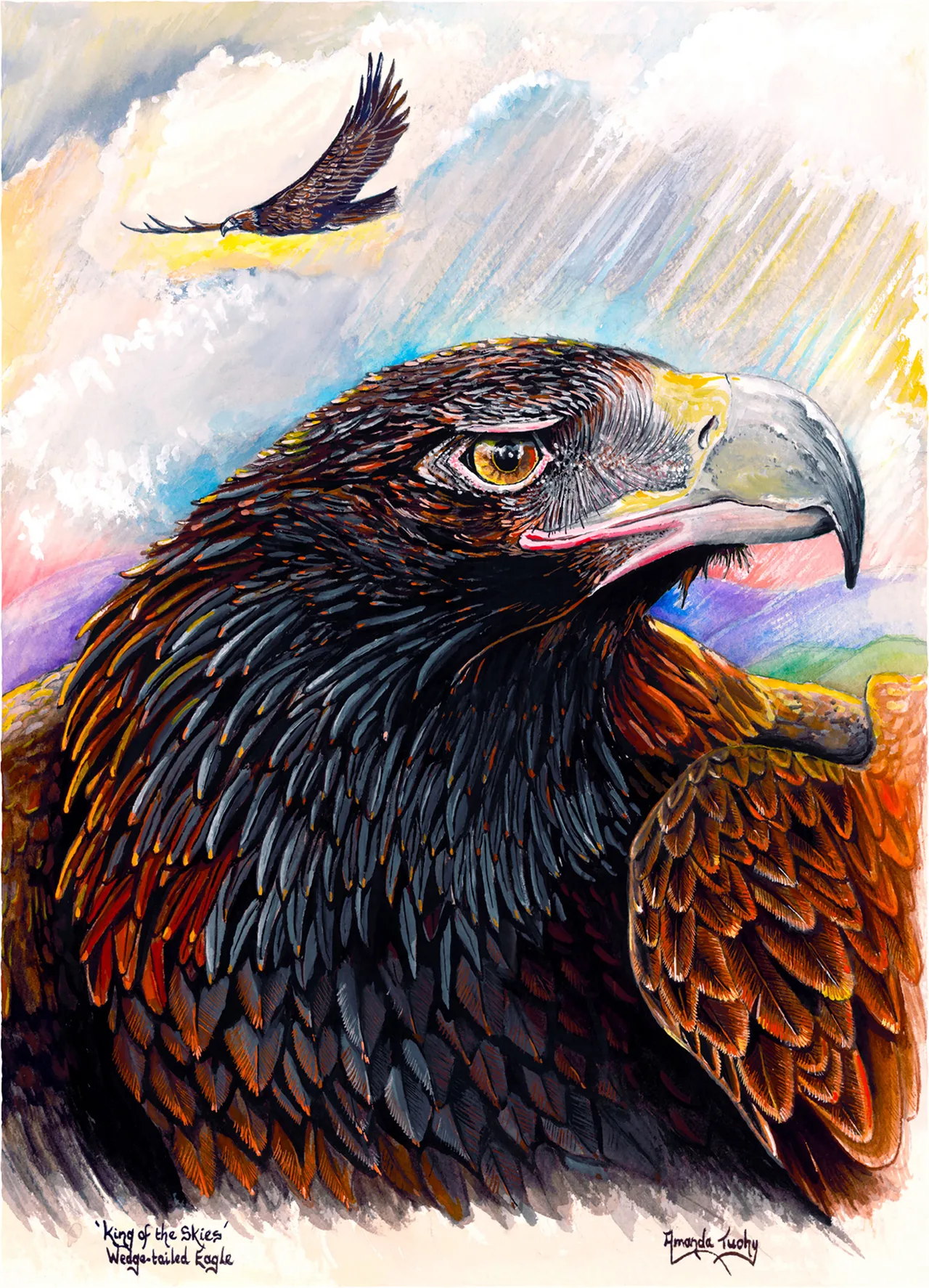 A wedge-tailed eagle shown close up, with dark brown feathers, a golden eye and a pale hooked beak, while a second eagle soars among clouds and rays of light above.