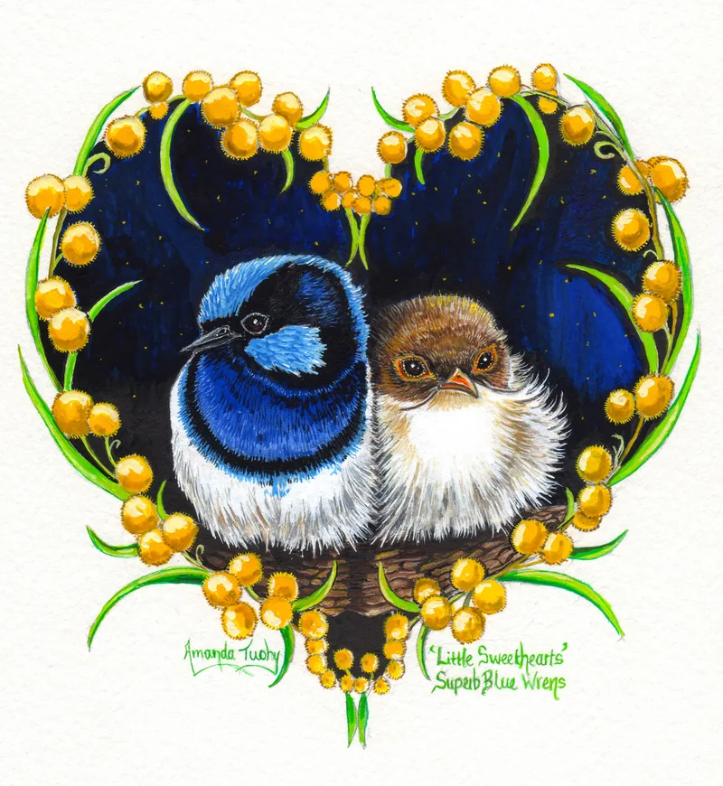 Two wrens sit snugly together in a nest, a blue and black male and a brown and white female, inside a heart of golden wattle against a dark, starry blue, on white paper.