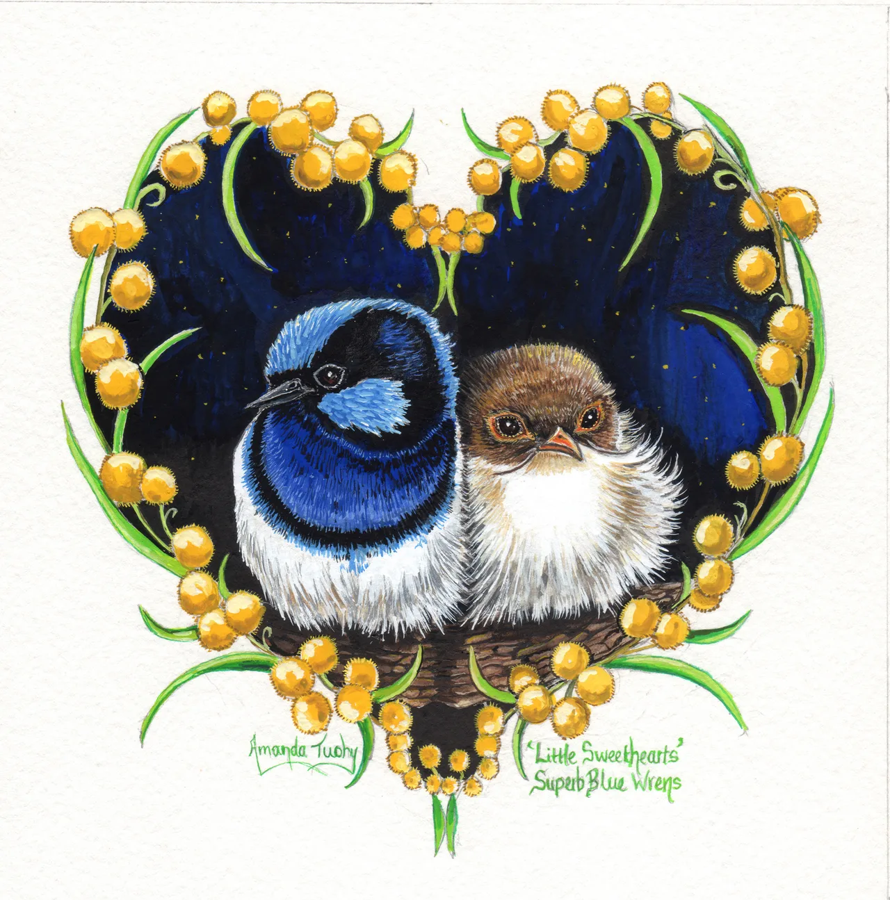 Two wrens sit snugly together in a nest, a blue and black male and a brown and white female, inside a heart of golden wattle against a dark, starry blue, on white paper.