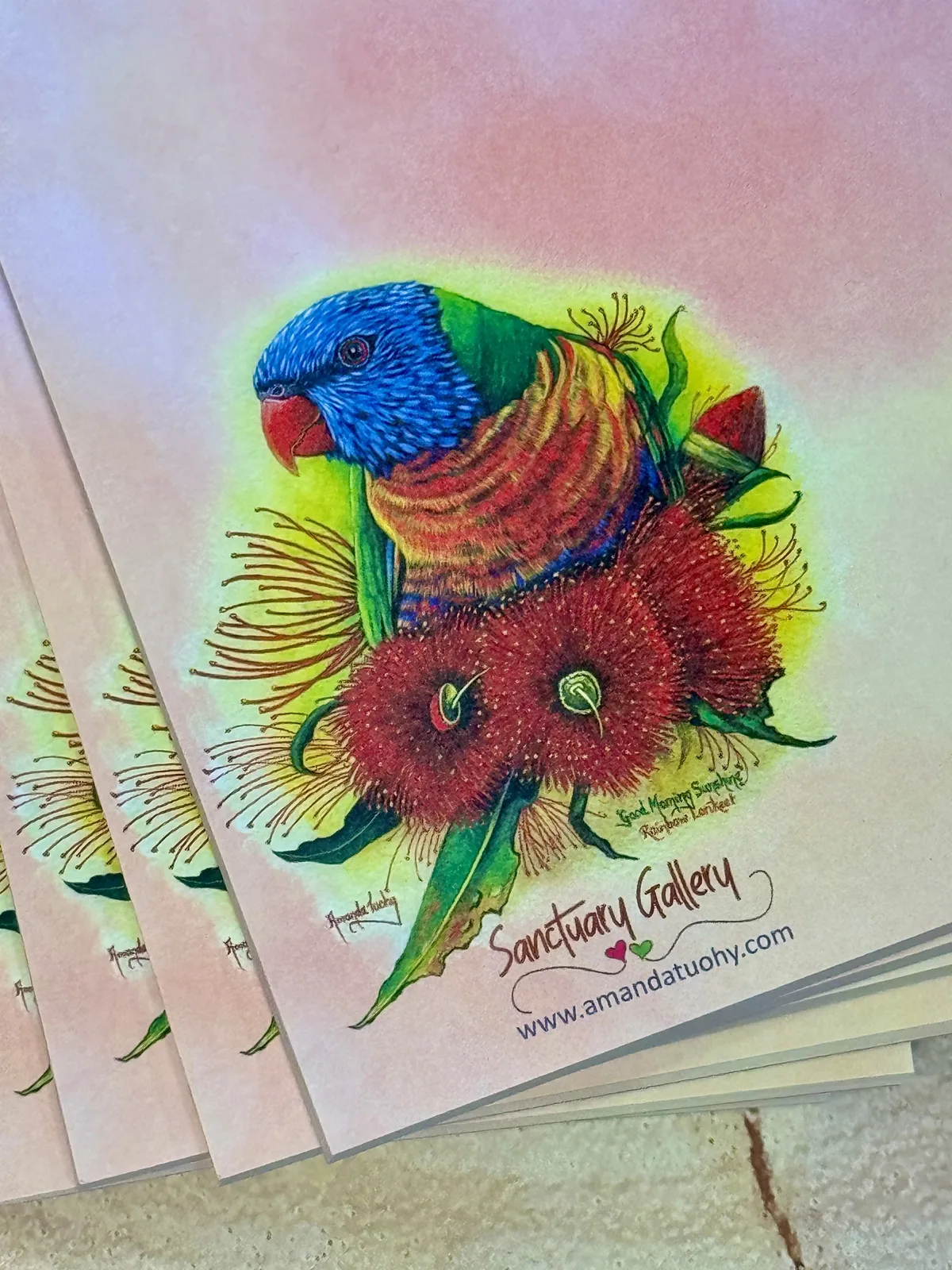A pad of notepaper with a pink and peach wash, printed with a rainbow lorikeet with a blue head, green back and orange chest among red gum blossoms, with the Sanctuary Gallery name and web address beneath.