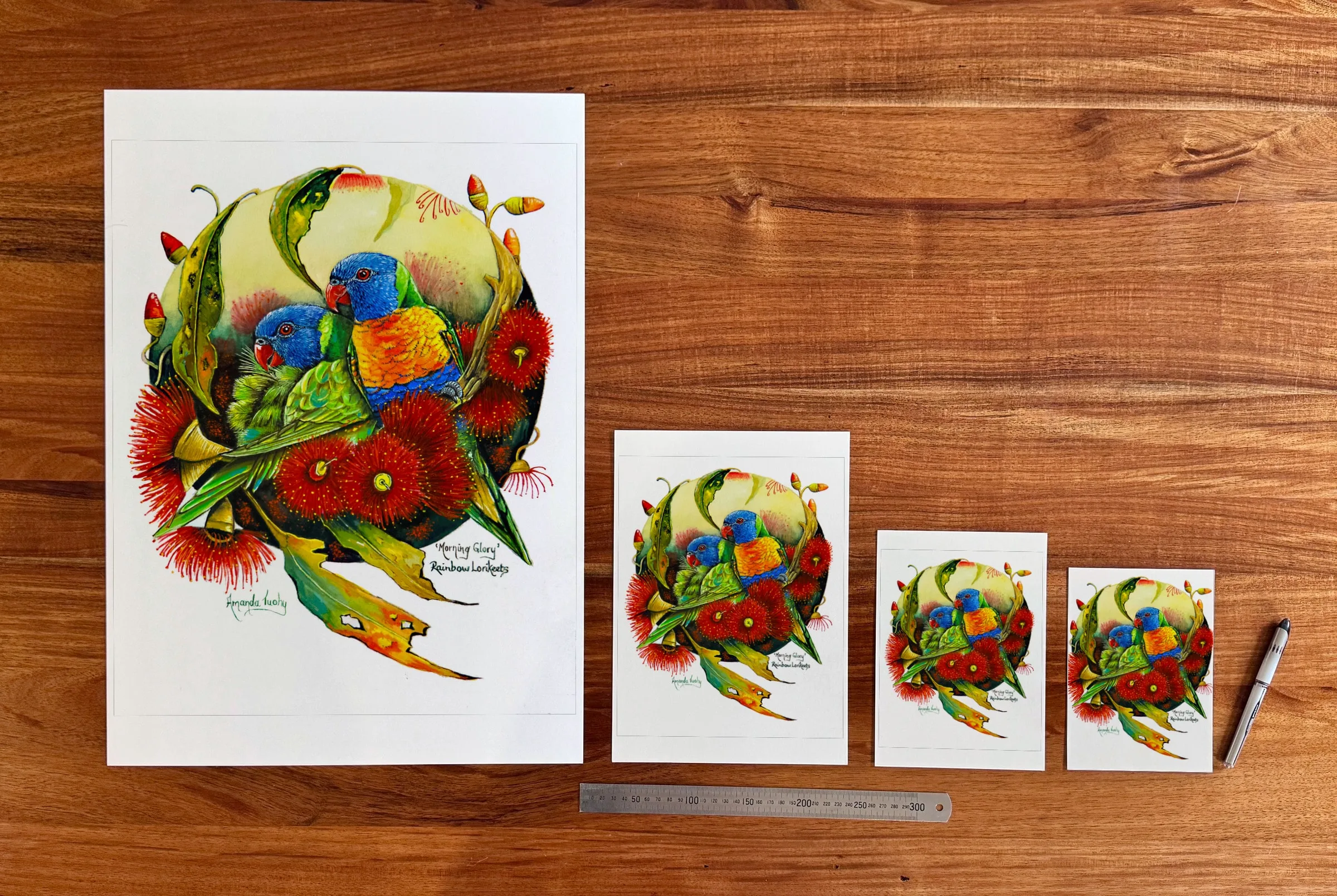 Morning Glory at each available size: A2 (420 × 594 mm), A4, A5 and 5 × 7 in (127 × 178 mm), beside a 30 cm ruler.