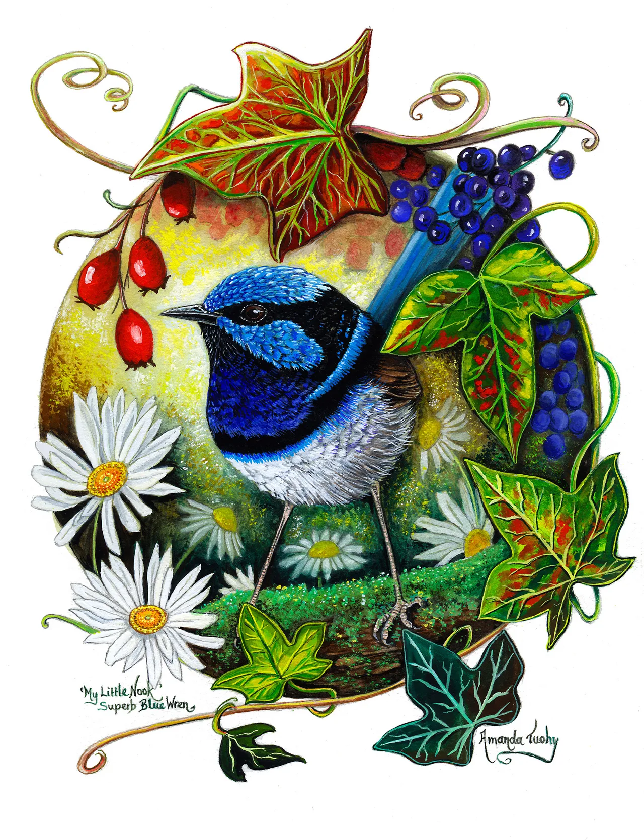 A wren with a bright blue and black head and a white chest stands on moss in an oval of golden light, framed by white daisies, red rosehips, purple berries and ivy leaves, on white paper.