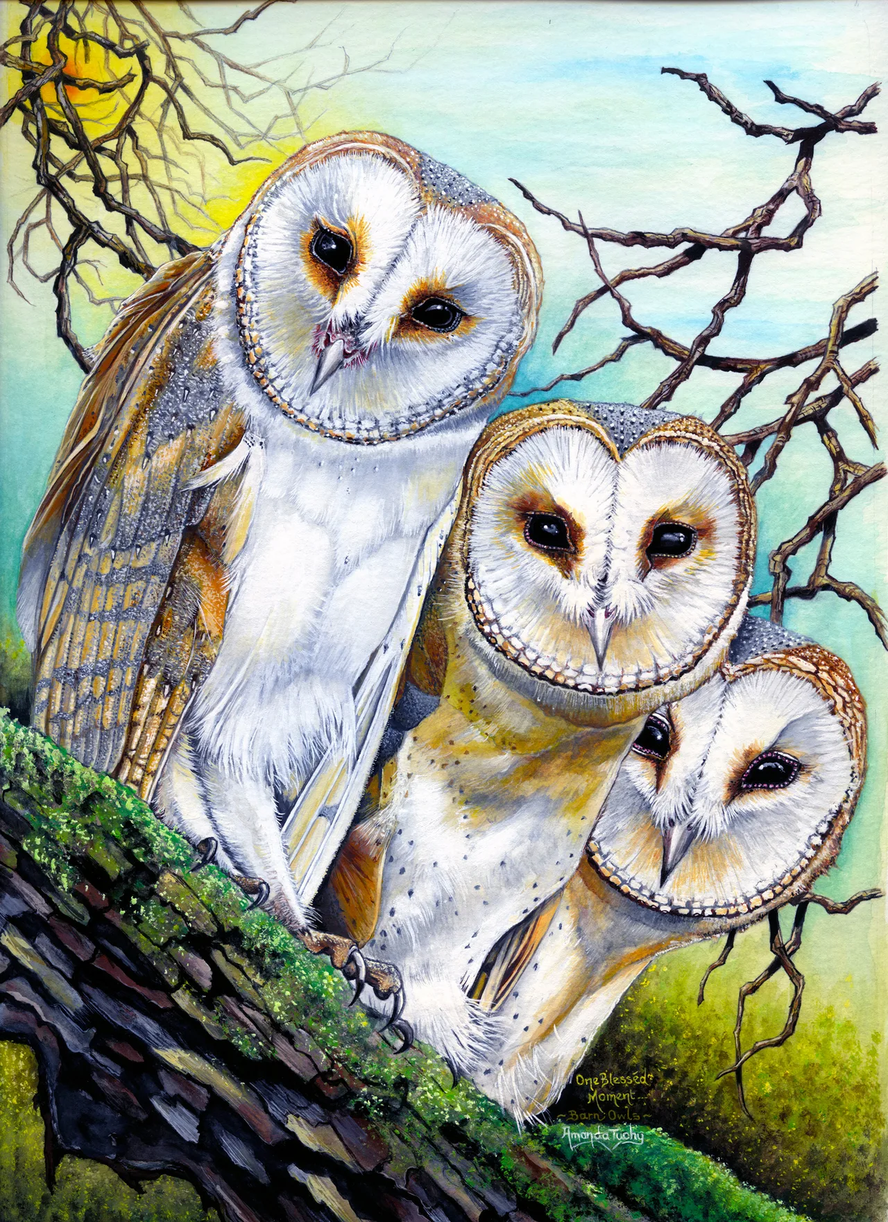 Three barn owls with white, heart-shaped faces perch close together on a mossy branch and look towards the viewer, against a pale blue and yellow sky and bare twigs.