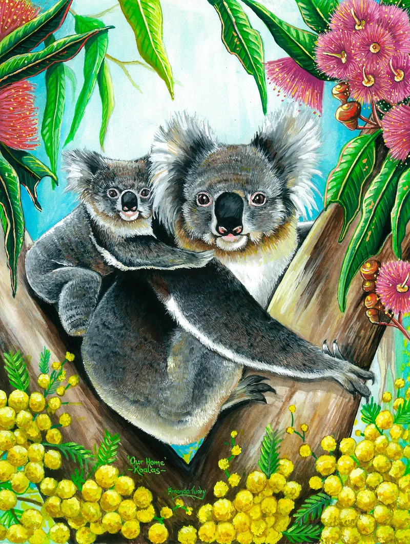 A koala with a baby on its back sits in the fork of a gum tree, among pink gum blossoms, green leaves and golden wattle.