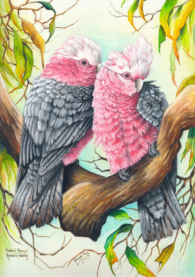 Two galahs nestled together on a thick gum branch, their pink heads touching and grey wings folded, against a pale green-cream background.