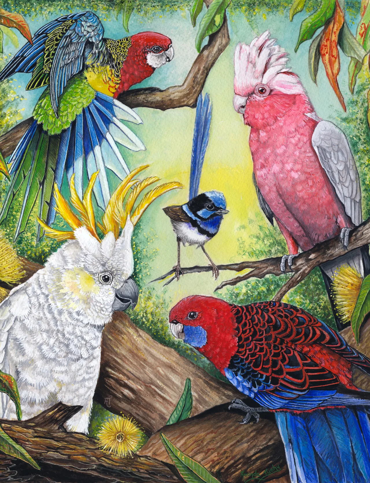 A crowd of Australian birds among gum branches: a pink and grey galah, a white cockatoo with a yellow crest, two rosellas and a small superb fairy-wren.