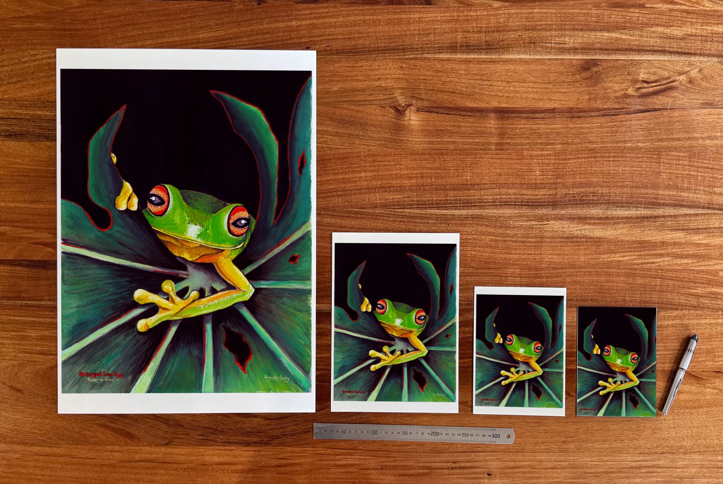 Peek-a-boo at each available size: A2 (420 × 594 mm), A4, A5 and 5 × 7 in (127 × 178 mm), beside a 30 cm ruler.