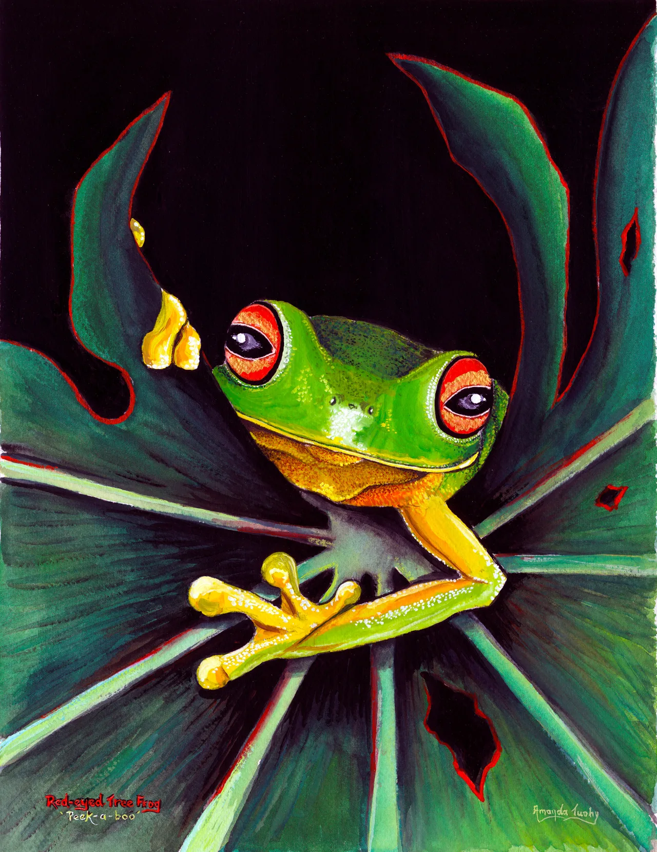 A red-eyed tree frog, bright green with large red eyes and orange-yellow feet, peers over the edge of a dark green leaf, against a black background.