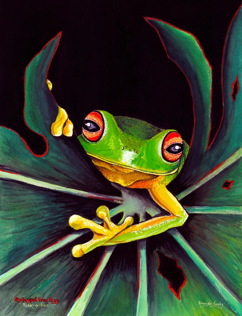 A red-eyed tree frog, bright green with large red eyes and orange-yellow feet, peers over the edge of a dark green leaf, against a black background.