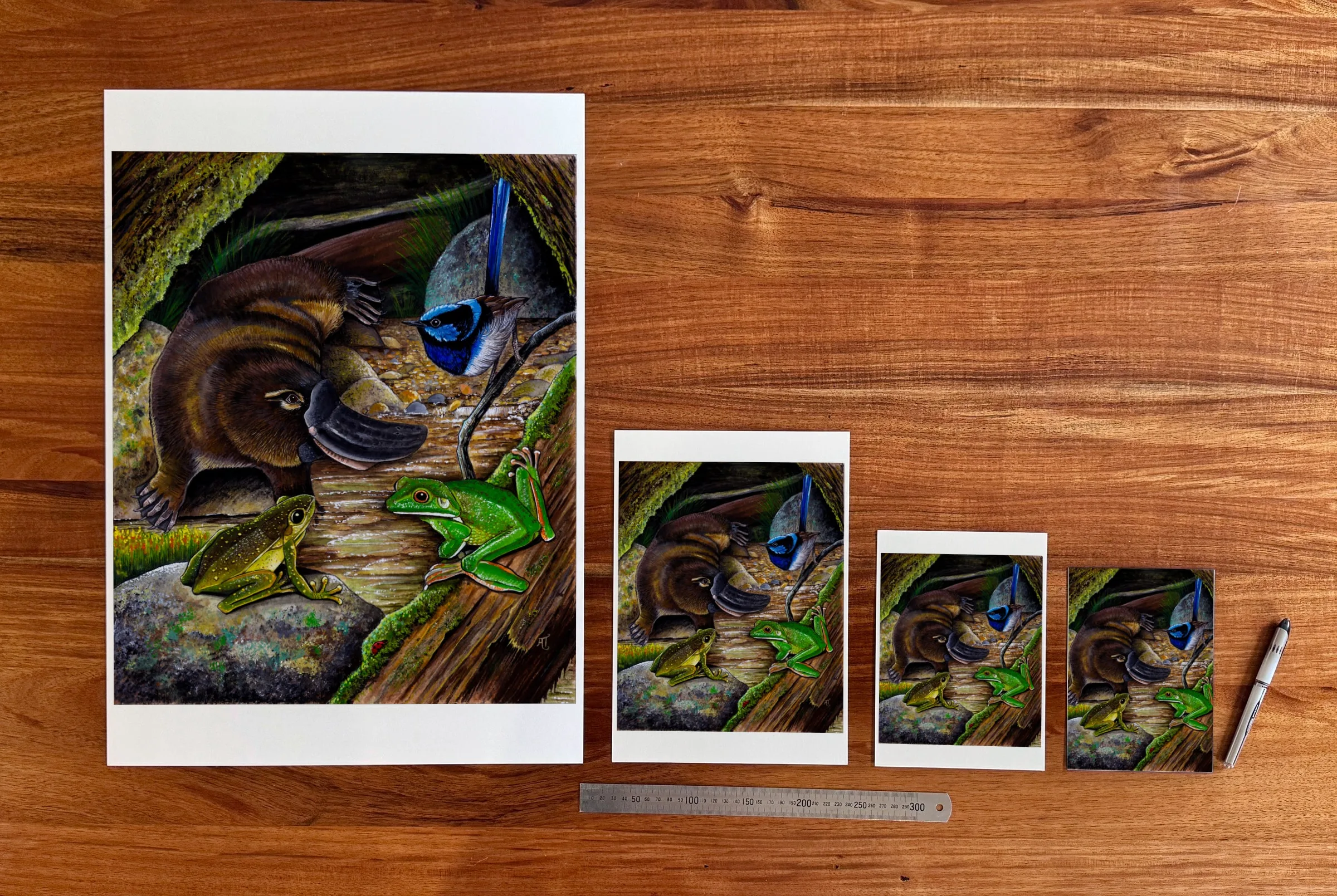 Platypus, Frogs, Wren at each available size: A2 (420 × 594 mm), A4, A5 and 5 × 7 in (127 × 178 mm), beside a 30 cm ruler.