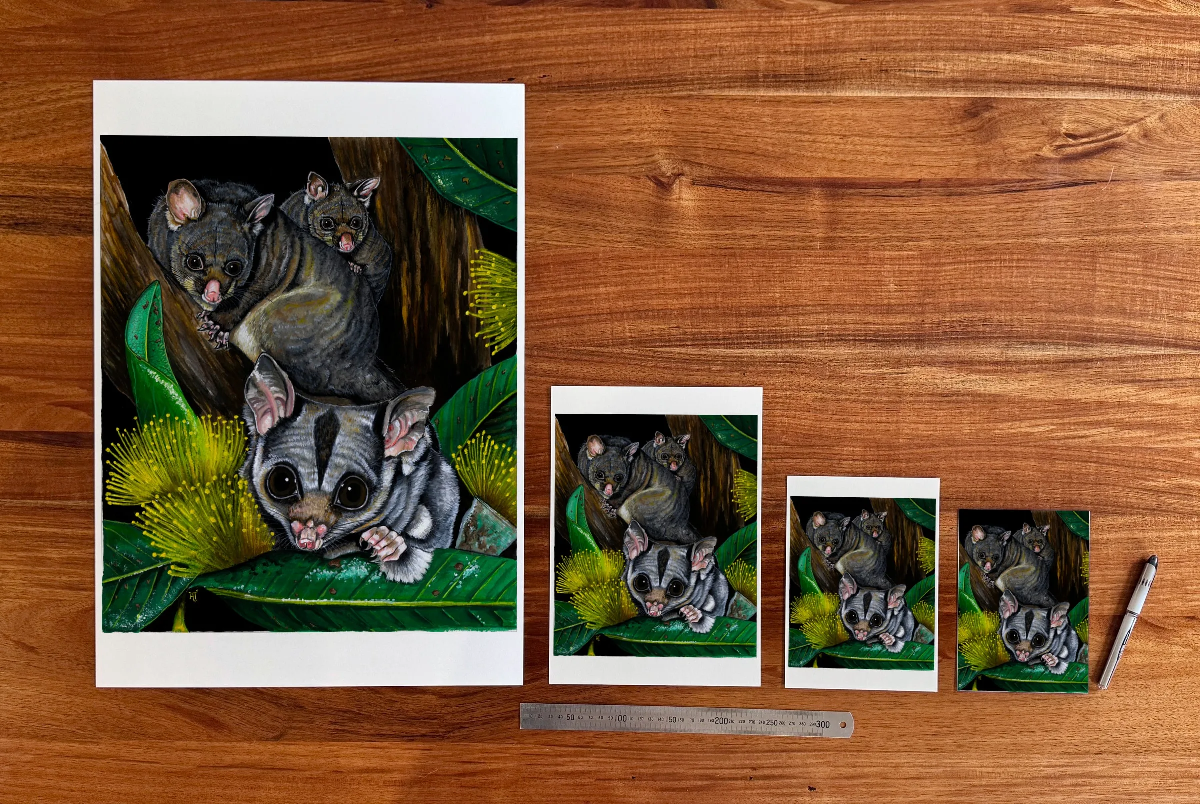 Possums, Sugar Glider at each available size: A2 (420 × 594 mm), A4, A5 and 5 × 7 in (127 × 178 mm), beside a 30 cm ruler.