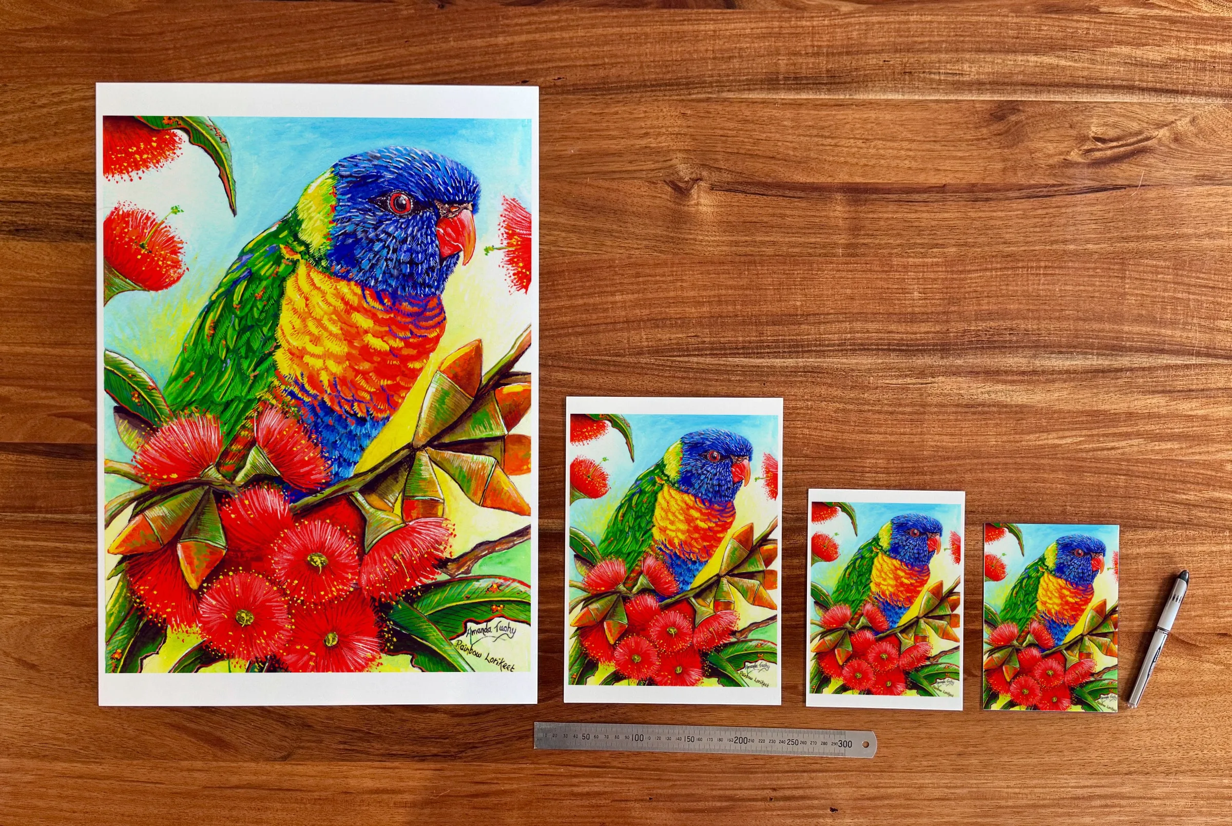 Rainbow Lorikeet at each available size: A2 (420 × 594 mm), A4, A5 and 5 × 7 in (127 × 178 mm), beside a 30 cm ruler.