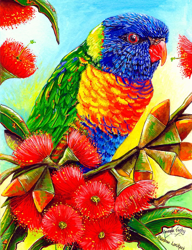 A rainbow lorikeet with a blue head, red beak, green back and orange and yellow breast perches among bright red gum blossoms and gumnut caps, against a pale blue and yellow sky.