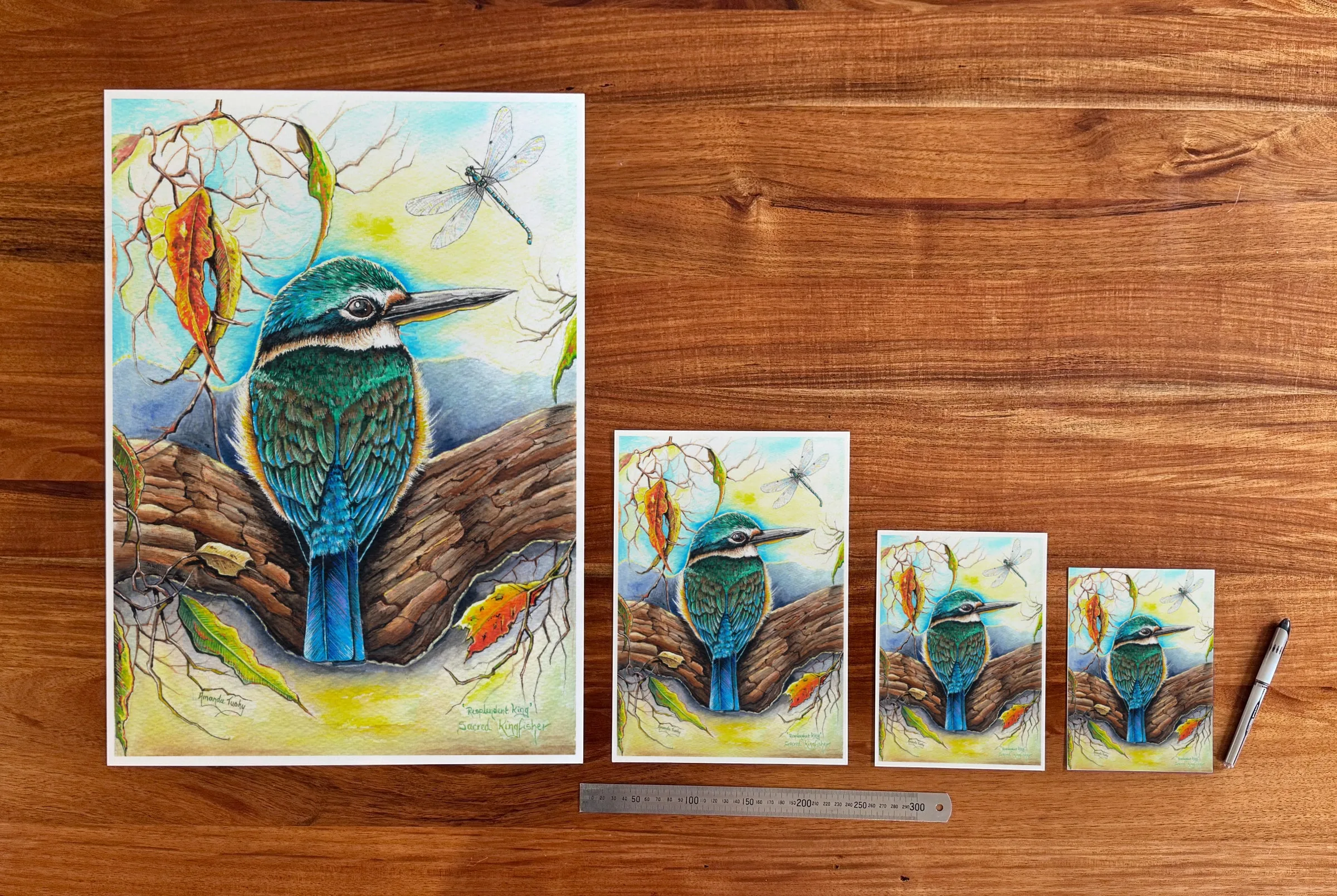 Resplendent King at each available size: A2 (420 × 594 mm), A4, A5 and 5 × 7 in (127 × 178 mm), beside a 30 cm ruler.