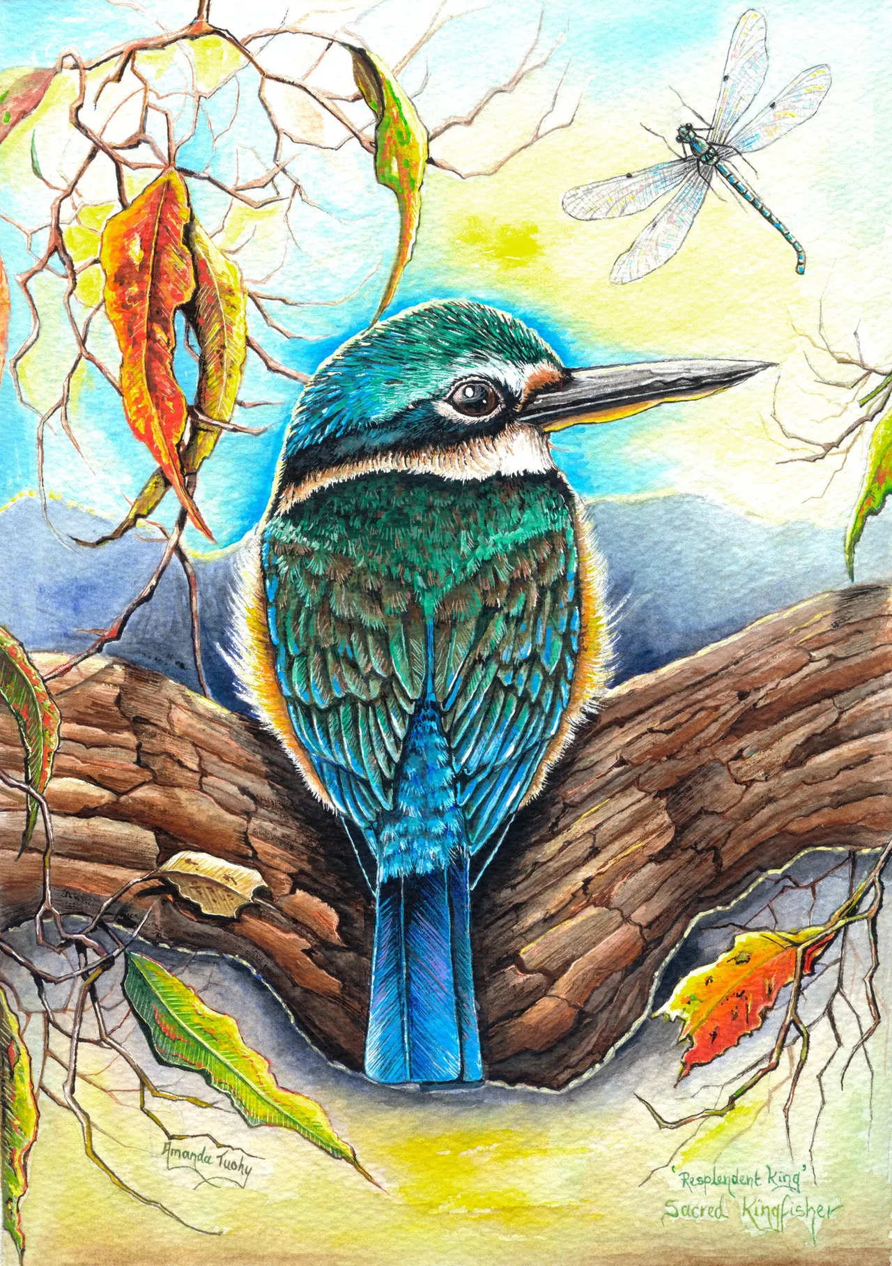 A sacred kingfisher, turquoise-green with a long dark bill and a cream collar, sits in the hollow of a fallen log looking over its shoulder, with a dragonfly above and autumn gum leaves around it.
